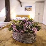 Pensjonat Rosa