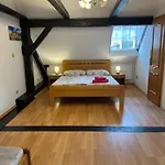Rosa 3*